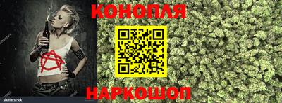 круглые Лесосибирск