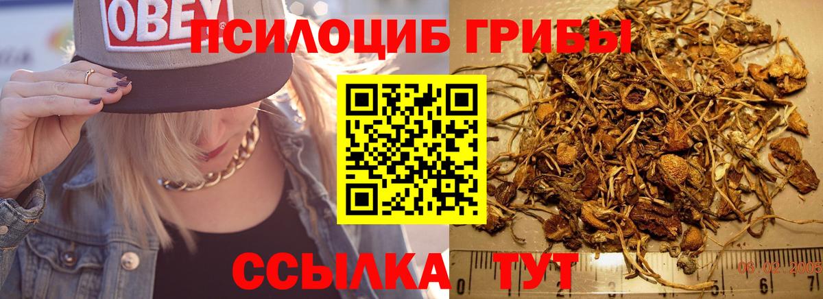 Галлюциногенные грибы Magic Shrooms Владимир