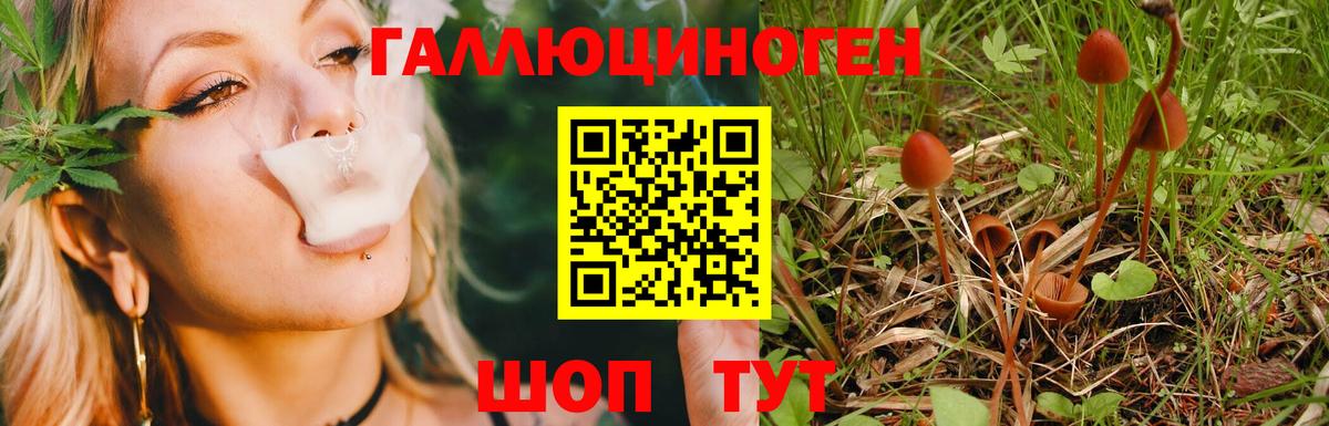 Владимир  Псилоцибиновые грибы Magic Shrooms  Псилоцибиновые грибы GOLDEN TEACHER  Вход с VPN 